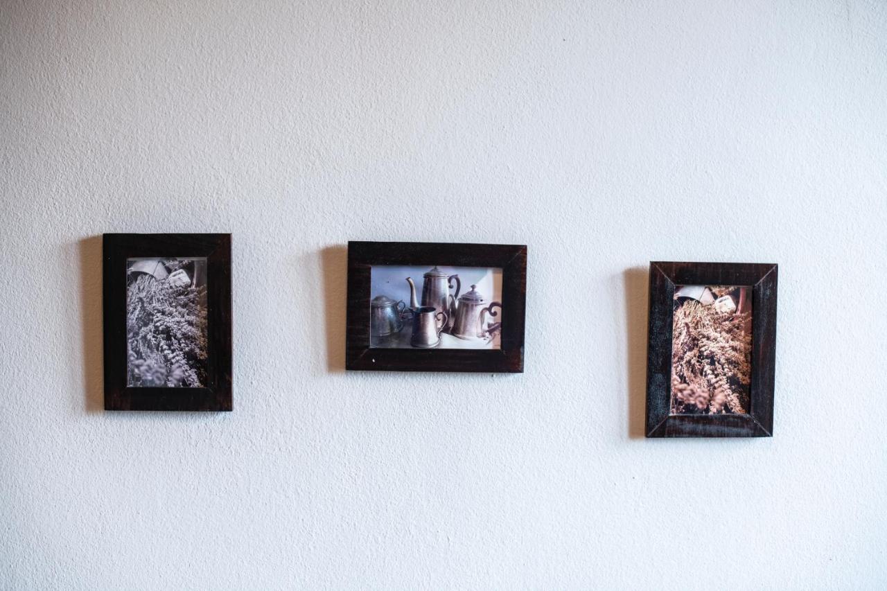 Old Town Studio And Apartment Vrsar Buitenkant foto